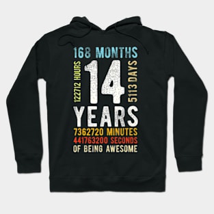 14Th Birthday 14 Years Old 168 Months Hoodie